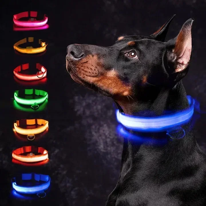 Night Light Dog Collar